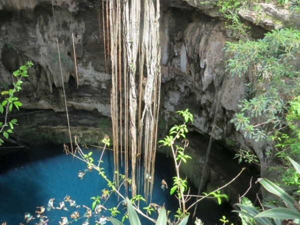 Boldly Going Nowhere